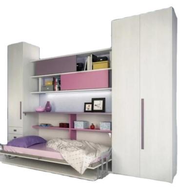 China Space Saving Modern Designs Single Full Size Invisible Folding Electric Wall Bed With Wardrobe for sale