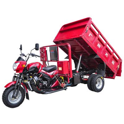 China 250cc Cargo Motorized Cargo Tricycle With Dumper Performance Heavy Loading for sale