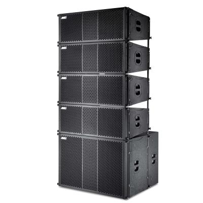 China Wood Dual 10 Inch Outdoor Events Waterproof Passive Line Arranged For Large And Medium Scale Concerts for sale