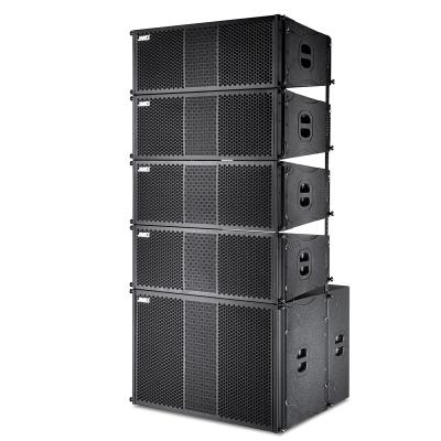 China Dual 10 Inch Outdoor Performance Outdoor Events Waterproof Passive Line Arranged For Large And Medium Scale Concerts for sale