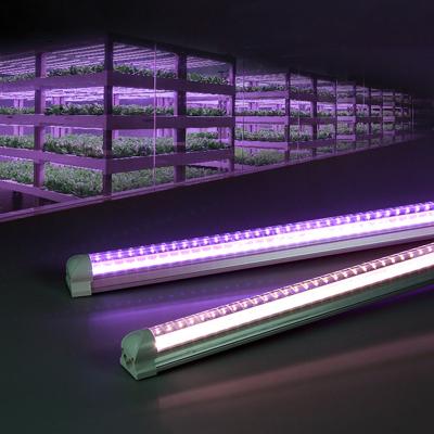 China Best selling seed starting led t8 4ft grow light bargain high quality crops hydroponic breeding led light systems for plant growth for sale