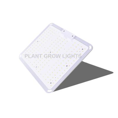 China Seed Starting 2021 Lm301b Lm301h 3030 Infineon Waterproof Full Feeder Spectrum 400W Hydroponic Led To Grow Light Tips for sale