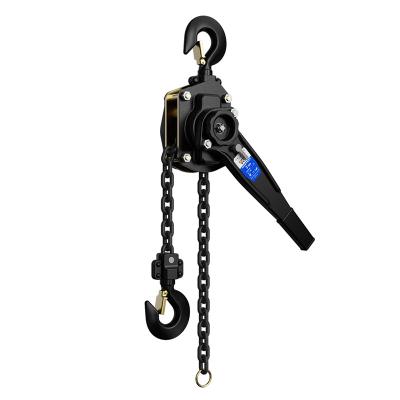 China Factory direct sales of hotels manual hoist pulley lever manual chain hoist for sale