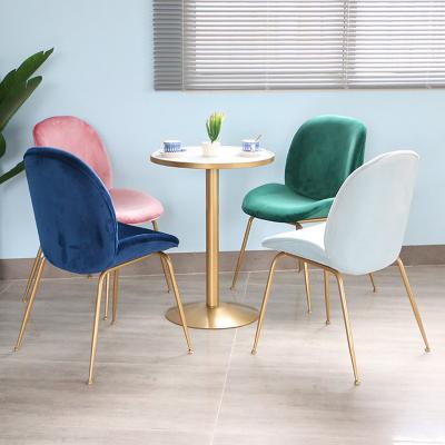 China Modern Light Luxury Nordic Cafe Shop Nail Style Casual Velvet Dining Chair for sale