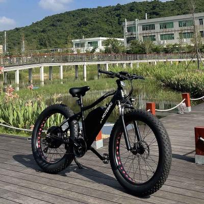 China Aluminum alloy 2000w fat tire electric bicycle fat wheel bike 48v 500w 60v 750w 1000w mountain bike for sale for sale