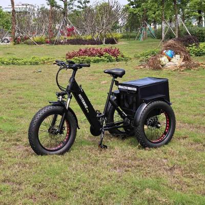 China Aluminum alloy 3 wheel 20 inch long range motor aluminum alloy frame tricycle adult electric bike 36v 48v 250w 350w 500w for sale