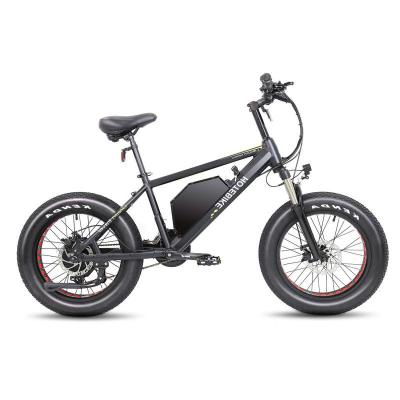 China Fat Tire Aluminum Alloy Tire Bike 48V Electric Hub Motor Chinese Electric Mountain Bike For USA Warehouse In Stock for sale