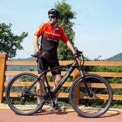 China Standard Electric Bicycle 26 Inch Electric Bike Battery 36V10AH 250W 21 Speed ​​Mountainbike for sale