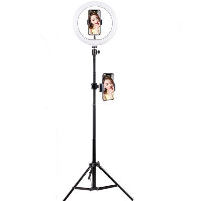 China Adjustable Color Tempurate 6inch/10inch/12inch Led Stand Lamp USB Portable Selfie Cell Phone Ring Light With Stand for sale