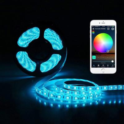 China Garden/Residential/Park App 12V Waterproof Voice RGB Smd 5050 Strip Wifi Remote Control Led Smart Light for sale