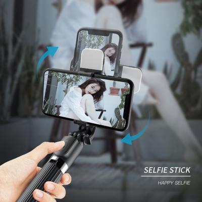 China Photography Radio Controller Insta 360 Fill Light Selfie Stick Aluminum Carbon Tripod Shooting Remote Holder For Mannequin for sale