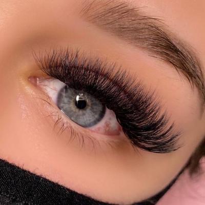 China Self Application 100% Mink Glitter Light Weight Soft Lash Extensions Super Black False Eyelash Extensions With Custom Box for sale