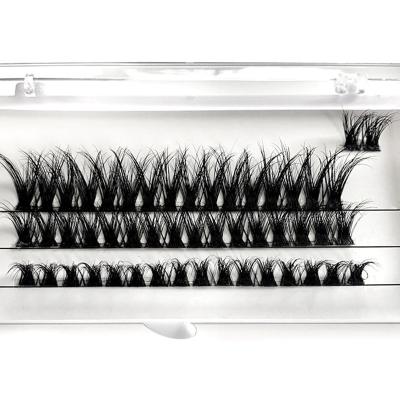 China Precut Segments Lashes Eye Precut Lashes D Loop Groups Lashes Trays Eyelash Extension Segment Lashes Custom Kit for sale