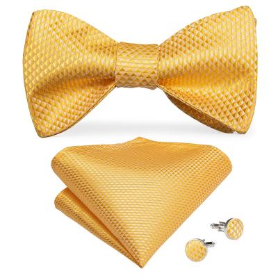 China 100% Handmade Luxury Formal Casual Yellow Self Tie Yellow Silk Bow Ties For Wedding for sale