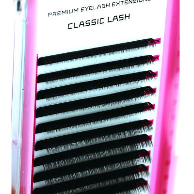 China 2022 Wholesale Volume Eyelash Extension Natural Soft High Quality Classic Private Label Eyelash Extensions for sale