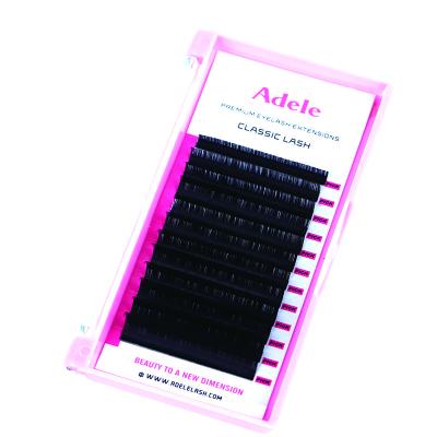 China Adele 12 Rows Natural Soft Mink Eyelash Extension 0.15 0.20 C cc D Dual Density Korean Classic Eyelash PBT Eyelash Extension Trays for sale