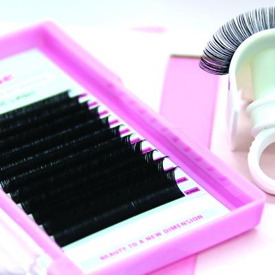 China Natural Wholesale Individual Eyelash Extension Mink 0.1 C cc D Dual Density Curl Korean Eyelash Extensions for sale