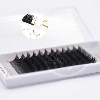 China A Wholesale 2022 Qingdao Adele Eyelash Extension Softer Flat Flat Private Label Double Tips Customized Matte Ellipse Eyelashes Extension for sale