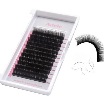 China Korean Eyelash Extension Supplies Natural Soft Classic Custom Label PBT Eyelash Extension Trays for sale