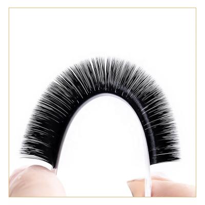 China best selling korean 2d natural 3d 4d 5d 6d mink eyelash extensions and eyelash extension wholesale packaging box for sale