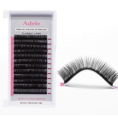 China Natural Soft Customized Handmade Classic Volume Eyelash Extensions Whips Popular PBT Eyelash Extension Very Soft Eyelash Extension for sale