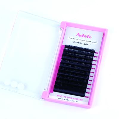 China Adele's natural soft classic eyelash extension provides individual classic line classic extension eyelash extension trays 12 volume lashes for sale