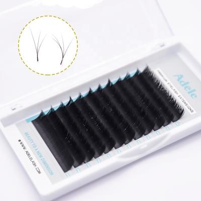 China 2022 Soft 2022 Fan Eyelash Extension Fan Super Soft Easy Supply Natural Hot Easy Blooming Eyelash Extension for sale