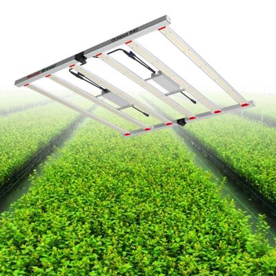 China 5ft x 5ft 2021 New Arrival 640w Full Spectrum LED Plant Growing Lights Medical Hydroponics Lamp Growing Plants for sale