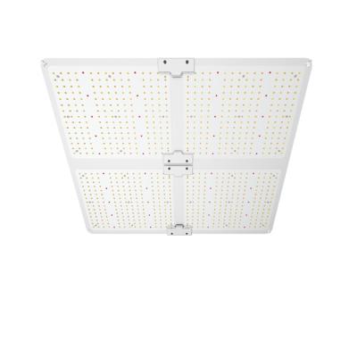 China hot sale factory 4ft x 4ft 400w Ip65 in door grow tent warehouse in us canada 3 years warranty wholesale sulight led grow light ir uv for sale