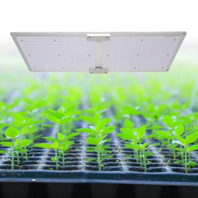 China 2ft x 4ft VANQ Full Spectrum Waterproof High Quality Led Grow Light 200w for sale