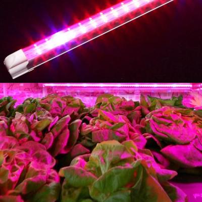 China Starting From Seed Accept Length Customized T8 Tube Grow Light Greenhouse Horticulture T8 Led Grow Light Tube For Plant Grow for sale