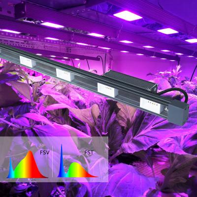 China Seed Starting Hydroponic Lm301b Led Growlights 65w T8 Led To Grow Light Tubes 50w Grow Light for sale