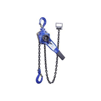 China Vl Vital Lever Block Pulley Hoist Goods Lifting CE GS for sale