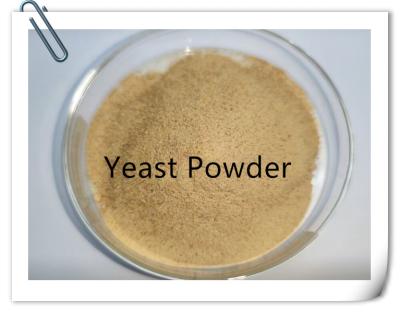 China Feed Additive Crude Protein 45% Dry Yeast Powder For Cow for sale