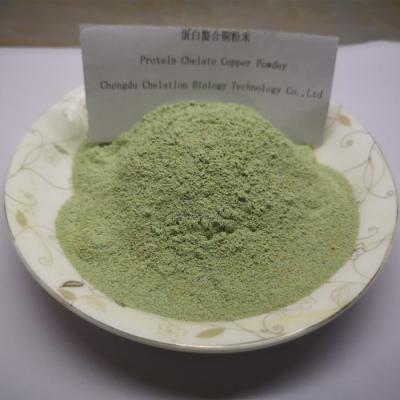 China Light Green Powder Chelate Protein Proteinate Mineral Cu Supplementation for sale