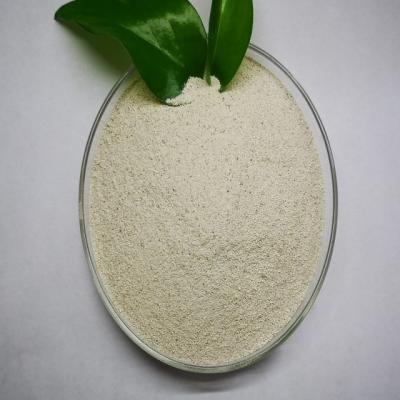 China White Animal Feed Enzymes Mycotoxin Degrading Enzyme Improving Animal Intestinal Health for sale