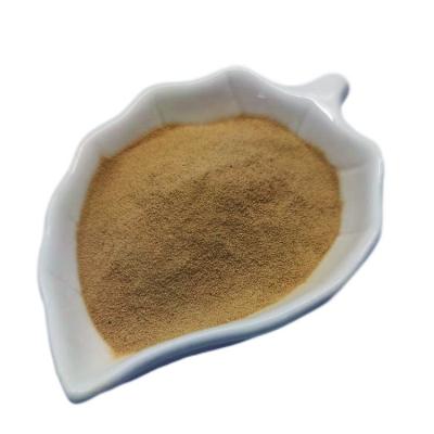 China Bacillus Subtilis Ruminants Feed Probiotics 100 Billion CFU/G In Poultry Feed for sale