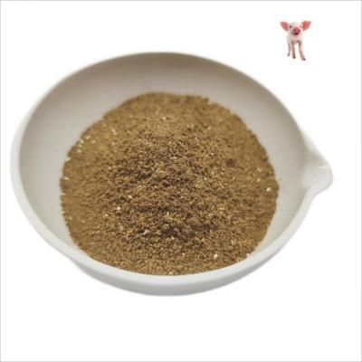 China Piglets Feed Additive Feed Probiotics Bacillus Subtilis Compound Microbial Preparation for sale