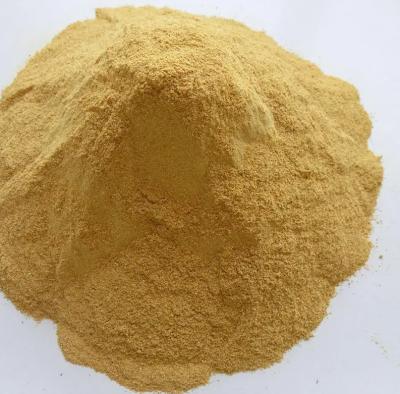 China Inactive Animal Feed Yeast Beer Yeast Powder Promote Nutrition for sale