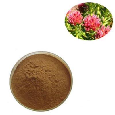 Chine Poudre extraite de la plante de Rhodiola Rosea PE Médecine chinoise à vendre