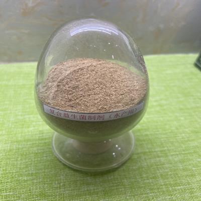 China Clostridium Butyricum Compound Aquaculture Probiotics Feed Additive For Fish Shrimp for sale