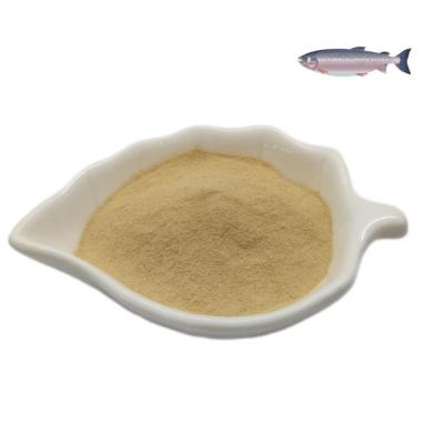 China Water Soluble Beer Yeast Feed Ingredient Additive Promote Aquaculture Growth for sale