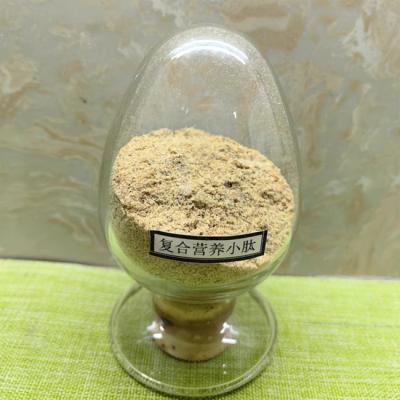 China Compound Herbal Peptides Feed Additives Soluble in water Anti Inflammatory for sale