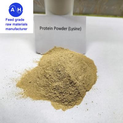 China FEED GRADE LYSINE HCL 98.5% Swine Feed Additives Amino Acids for sale