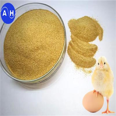 China Vitamins Premix For Laying Hens Poultry Protein Supplement For Optimal Health for sale