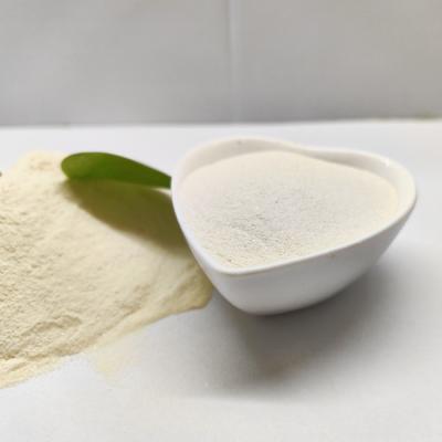 China Animal Feed Yeast Powder With Acid-Soluble Protein More Than 60% for sale