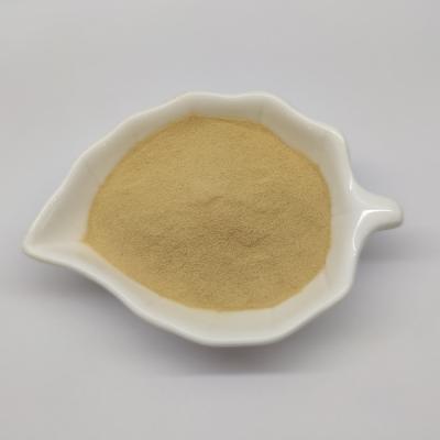 China Hydrolyzed Yeast Used for Animal Feed Production Poultry Protein Supplement for sale