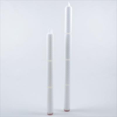 China PES Membrane Filter Cartridge For Beer Final Filtration 0.45μM 40