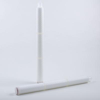 China 63mm OD PES Membrane Filter Cartridge For Water Filtration 0.1μM 30