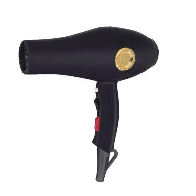 China 2300w Professional Hot Air Blower Brush Blower Dryer Ionic Hair Dryer Salon Stand Professional Ionic Hair Dryer for sale